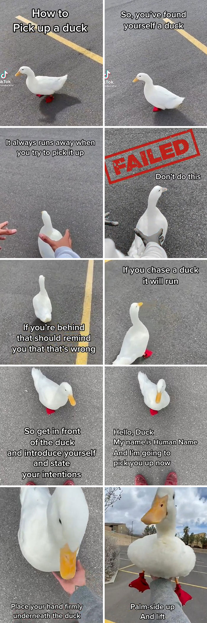 How To Pick Up A Duck