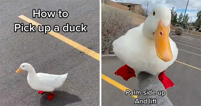 This Online Community Shares Hilariously Bad Life Hacks, And Here Are 40 Of The Worst Ones