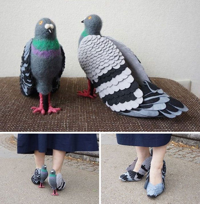 Zapatos de paloma