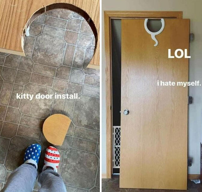 A Kitty Door In A Door