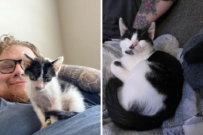 Toast The Day I Brought Him Home And Then A Few Months Later!