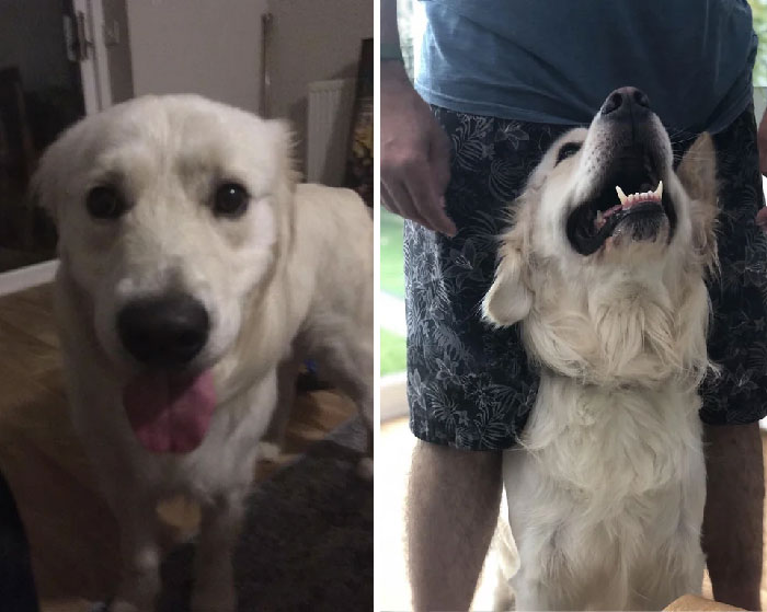 The Day Our Boy Came Home And 365 Days Later!