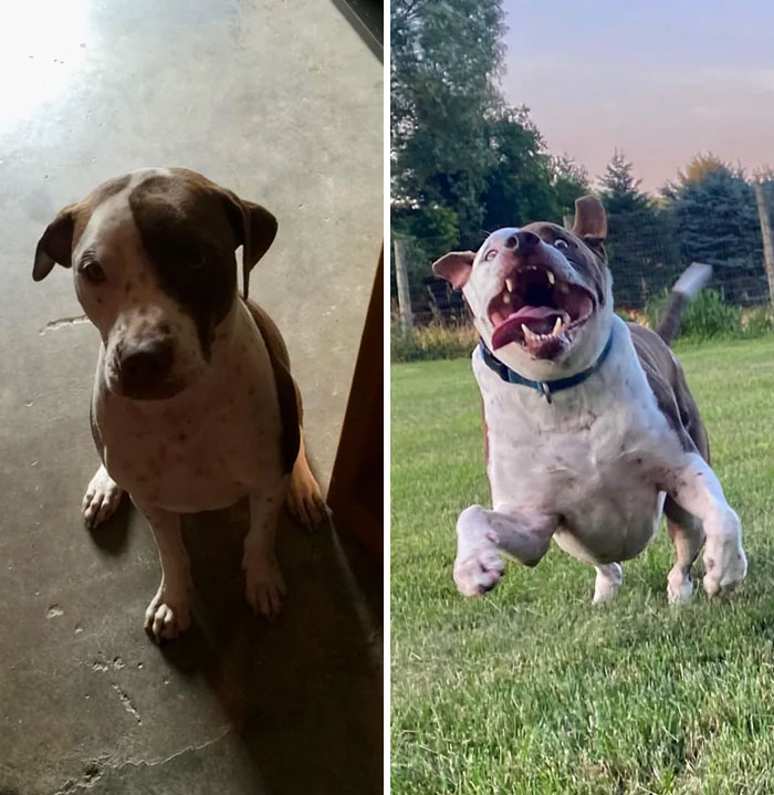 5 Months After Adoption vs. 8 Years After Adoption