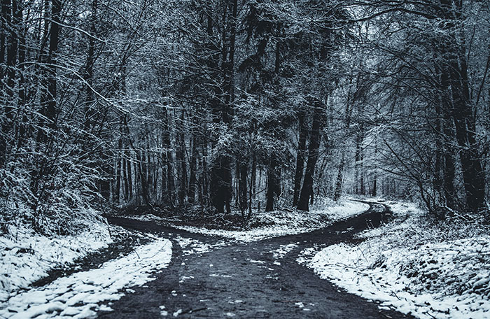 Road separation in a snowy forest 