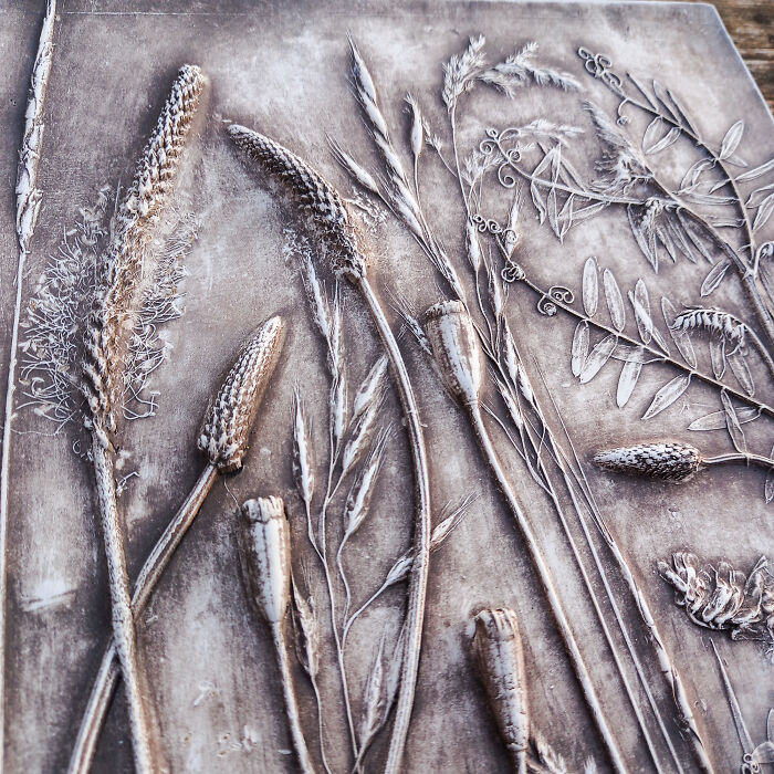 Wild Herbs In Black (5 Pics) Wild Herbs In Black (5 Pics)