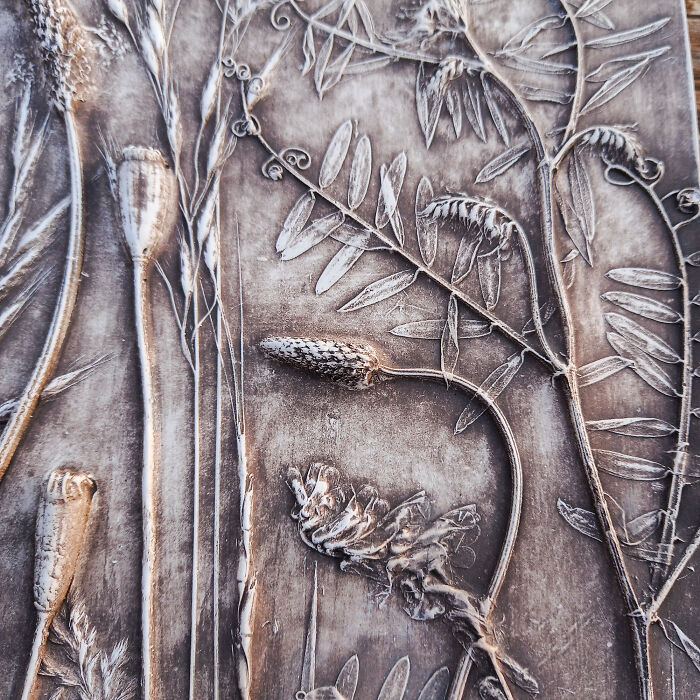 Wild Herbs In Black (5 Pics) Wild Herbs In Black (5 Pics)