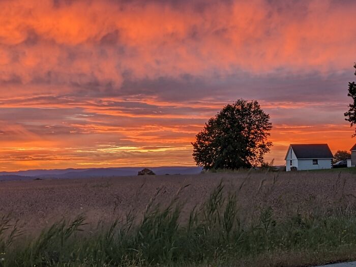 0600 Sunrise. Upstate NY Farm Country. No Filter