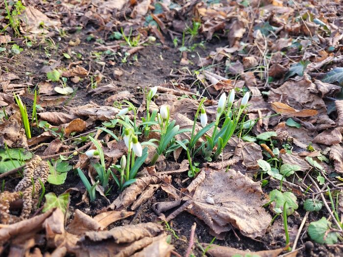 Spring Is Just Around The Corner