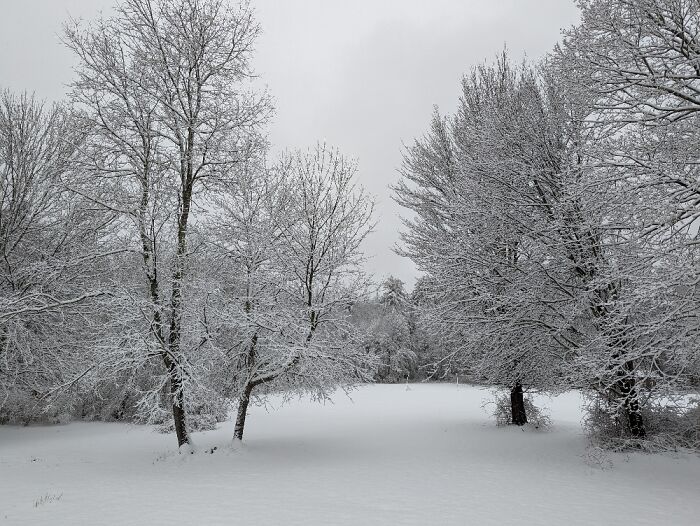 My Backyard In Massachusetts, Winter Wonderland!!!