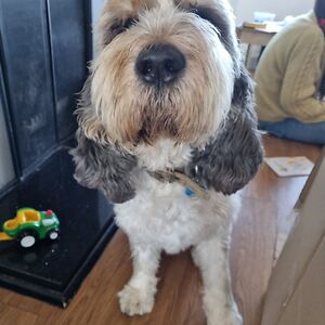 emilyfranchino avatar