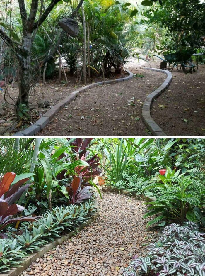 Before And After (Costa Rica)