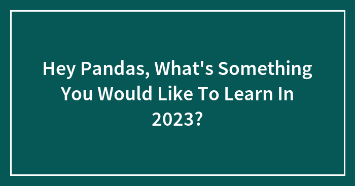 Hey Pandas, What’s Something You Would Like To Learn In 2023? (Closed)