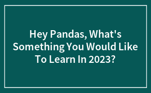 Hey Pandas, What's Something You Would Like To Learn In 2023?