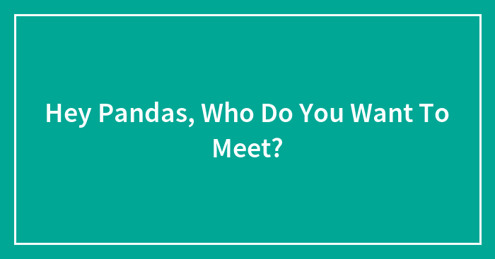 Hey Pandas, Who Do You Want To Meet? (Closed)