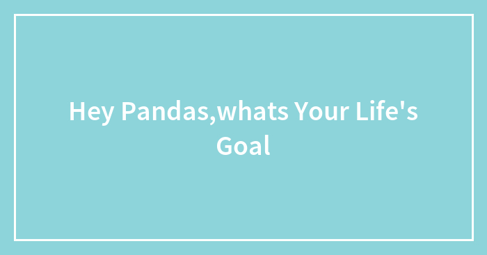 Hey Pandas,whats Your Life’s Goal