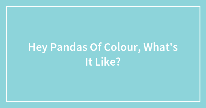 Hey Pandas Of Colour, What’s It Like?