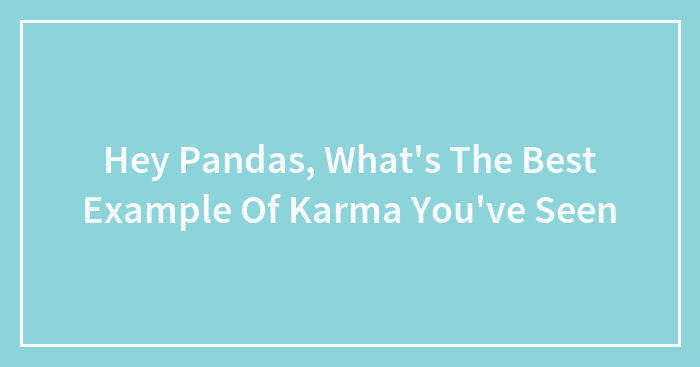 Hey Pandas, What’s The Best Example Of Karma You’ve Seen