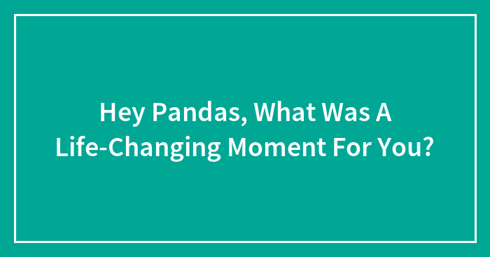 Hey Pandas, What Was A Life-Changing Moment For You?