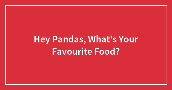 Hey Pandas, What’s Your Favourite Food? (Closed)