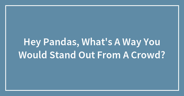 Hey Pandas, What’s A Way You Would Stand Out From A Crowd?