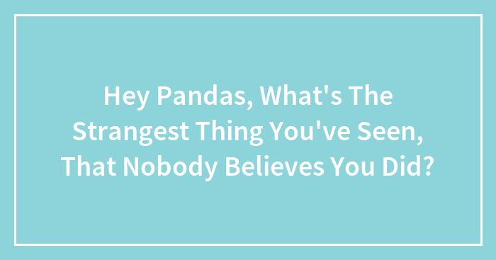 Hey Pandas, What’s The Strangest Thing You’ve Seen, That Nobody Believes You Did? (Closed)
