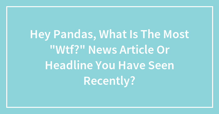 Hey Pandas, What Is The Most “Wtf?” News Article Or Headline You Have Seen Recently?