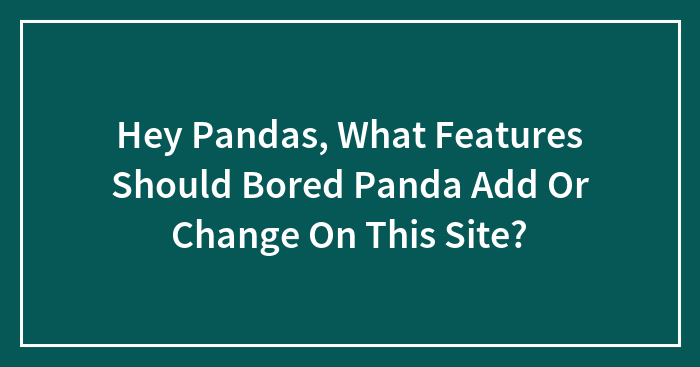 Hey Pandas, What Features Should Bored Panda Add Or Change On This Site? (Closed)