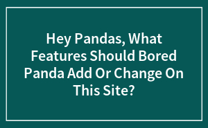 Hey Pandas, What Features Should Bored Panda Add Or Change On This Site?
