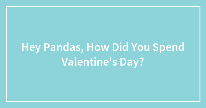 Hey Pandas, How Did You Spend Valentine’s Day? (Closed)