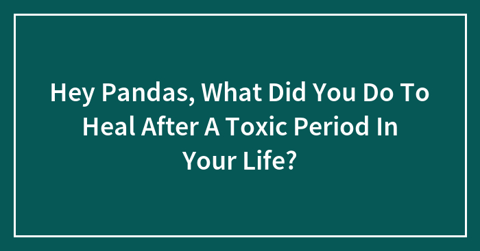 Hey Pandas, What Did You Do To Heal After A Toxic Period In Your Life? (Closed)