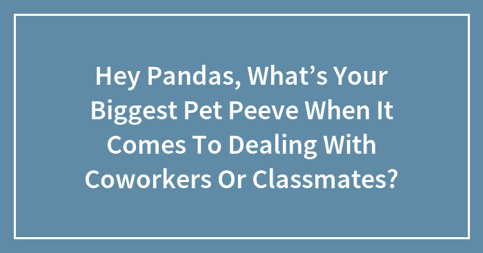 Hey Pandas, What’s Your Biggest Pet Peeve When It Comes To Dealing With Coworkers Or Classmates? (Closed)