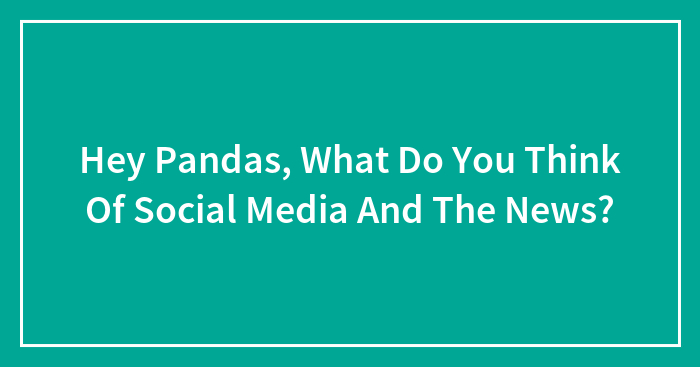 Hey Pandas, What Do You Think Of Social Media And The News? (Closed)