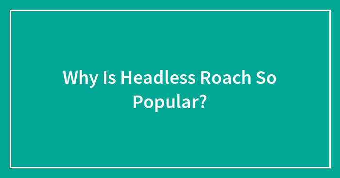 Why Is Headless Roach So Popular?