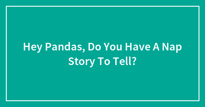 Hey Pandas, Do You Have A Nap Story To Tell?