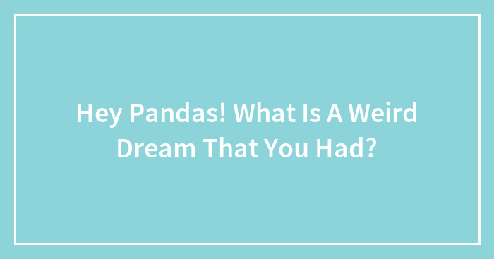 Hey Pandas! What Is A Weird Dream That You Had?