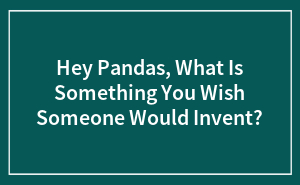 Hey Pandas, What Is Something You Know About Someone That They Don't ...