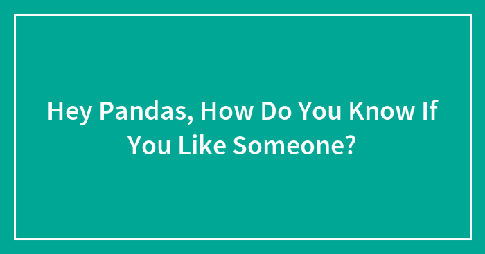 Hey Pandas, How Do You Know If You Like Someone? (Closed)