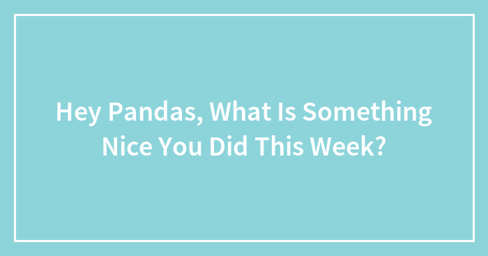 Hey Pandas, What Is Something Nice You Did This Week?