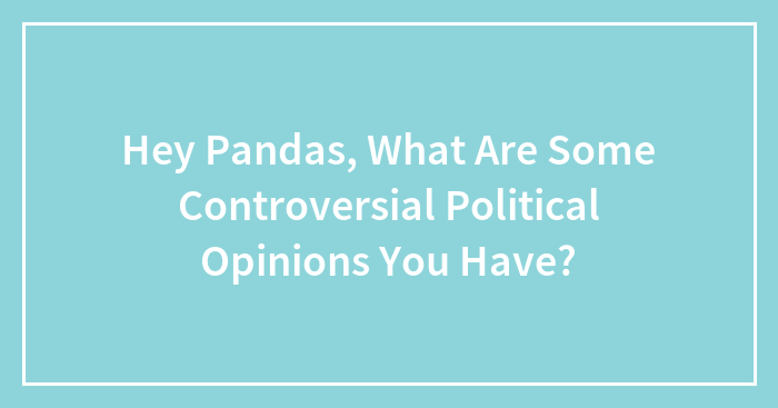 Hey Pandas, What Are Some Controversial Political Opinions You Have?