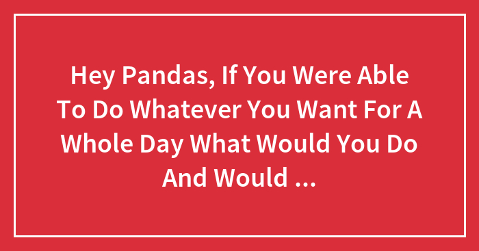 Hey Pandas, If You Were Able To Do Whatever You Want For A Whole Day What Would You Do And Would You Do Something That’ll Get You Arrested?