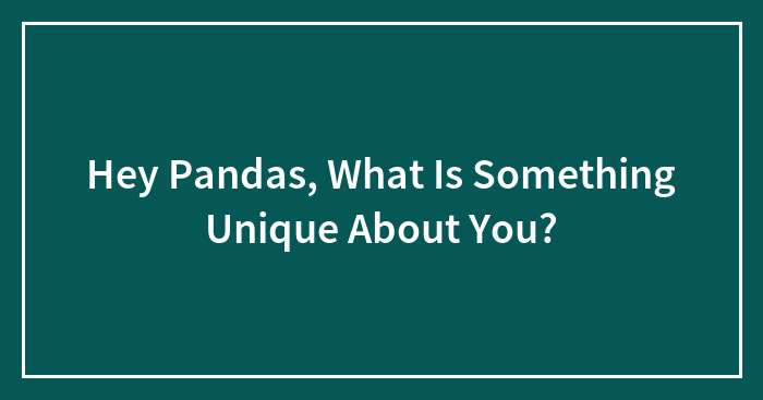 Hey Pandas, What Is Something Unique About You?