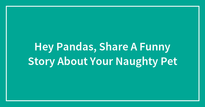 Hey Pandas, Share A Funny Story About Your Naughty Pet