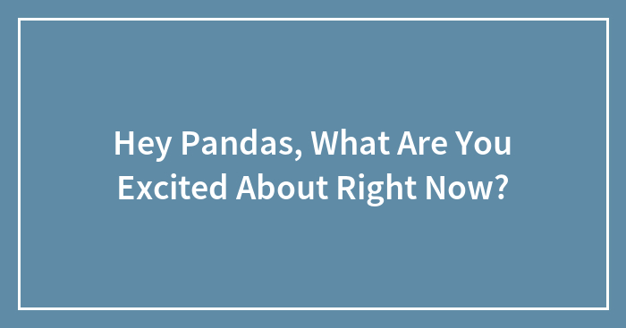 Hey Pandas, What Are You Excited About Right Now? (Closed)