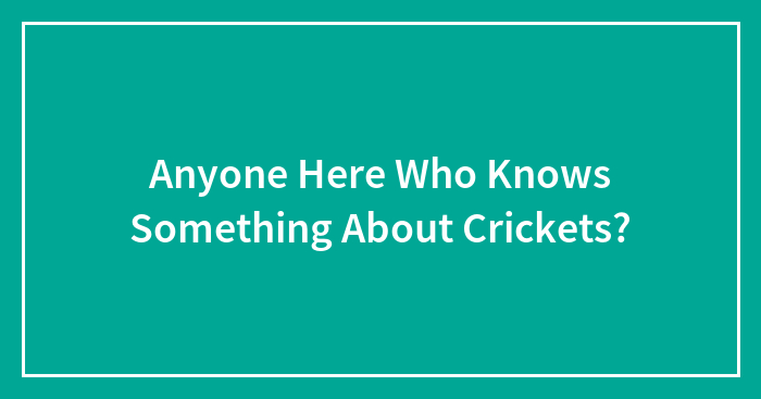 Anyone Here Who Knows Something About Crickets?