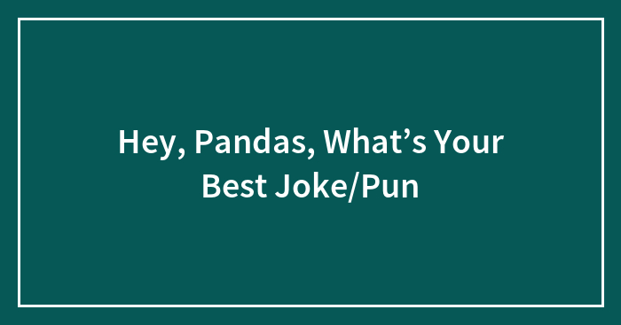 Hey, Pandas, What’s Your Best Joke/Pun