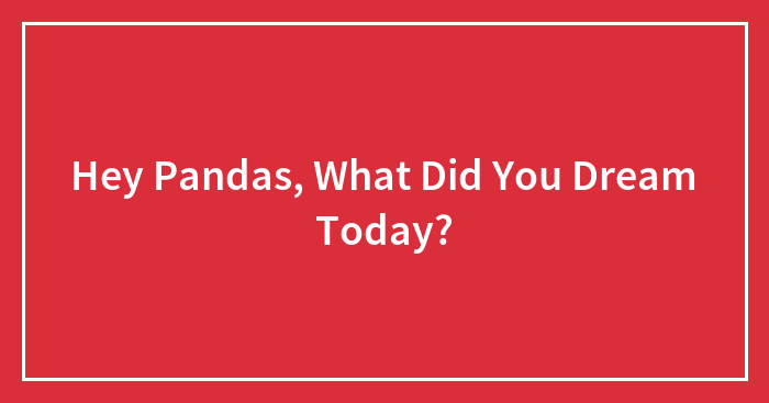 Hey Pandas, What Did You Dream Today?