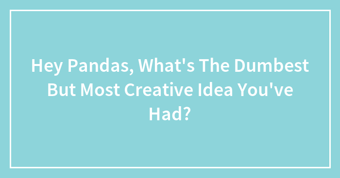 Hey Pandas, What’s The Dumbest But Most Creative Idea You’ve Had?