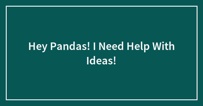 Hey Pandas! I Need Help With Ideas!