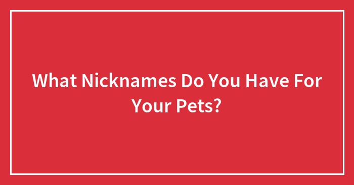What Nicknames Do You Have For Your Pets?