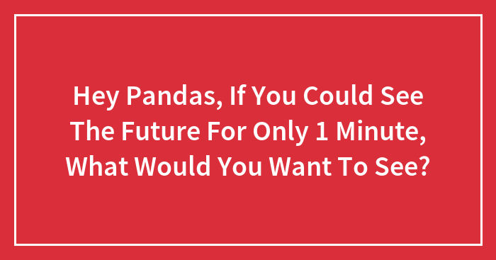 Hey Pandas, If You Could See The Future For Only 1 Minute, What Would You Want To See? (Closed)